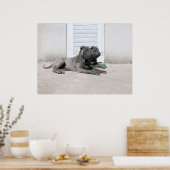 Hundstage des Sommers.... Poster (Küche)