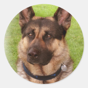 Hundsticker Runder Aufkleber