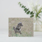Hundsuhren aus schwarzem Labor Postkarte (Stehend Vorderseite)