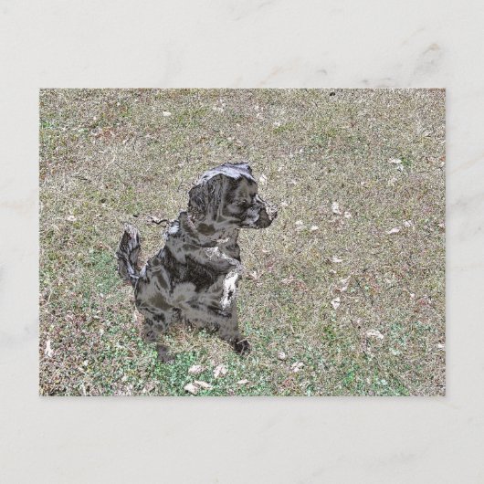Hundsuhren aus schwarzem Labor Postkarte (Vorderseite)