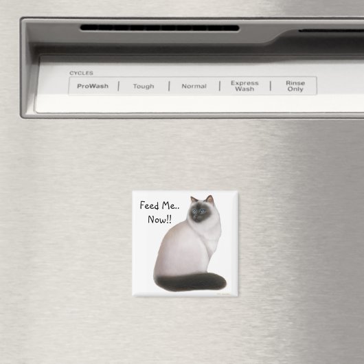 Hungalayan Cat Magnet (In Situ (Geschirrspüler))