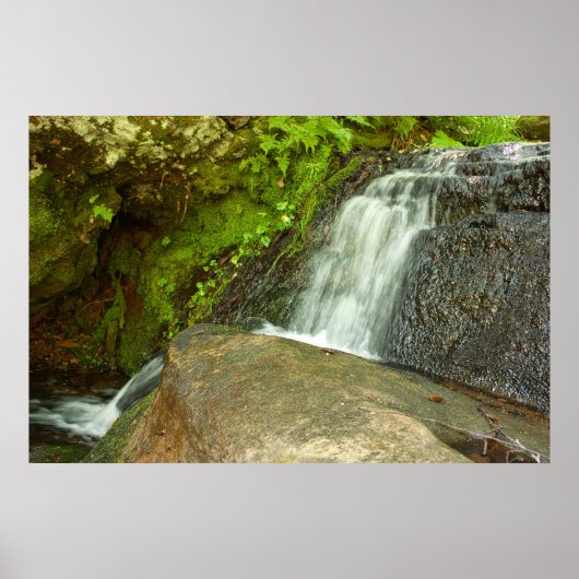 Hungarian Falls Mossy Forest Cascade Poster (Vorne)