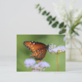 Hungarmonarch Butterfly Postkarte (Stehend Vorderseite)
