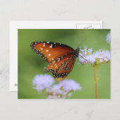 Hungarmonarch Butterfly Postkarte (Vorne/Hinten)