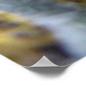 Hungerbüchsen Weiße Raupen drucken Poster (Ecke)