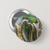 Hungerbügel Weiße Raupen Button (Vorne & Hinten)