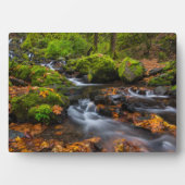 Hungerfallen | Columbia Gorge, Oregon Fotoplatte (Vorderseite)