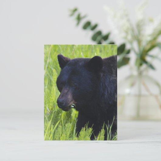 Hungerfestungen Postkarte (Stehend Vorderseite)