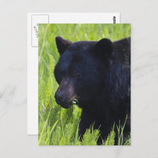 Hungerfestungen Postkarte (Vorne/Hinten)