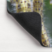Hungerfestungen Weißes Raupe Mousepad (Ecke)