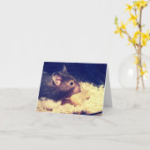 HungerHamster-Karte Karte (Gelbe Blume)
