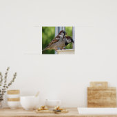 Hungerhaus Sparrows Print Poster (Küche)