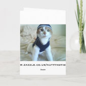 Hungerkatze Funny Greeting/Birthday Card Karte (Rückseite)
