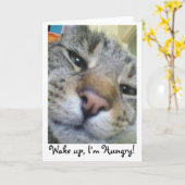Hungerkatze Funny Greeting/Birthday Card Karte (Gelbe Blume)
