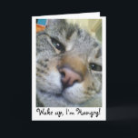 Hungerkatze Funny Greeting/Birthday Card Karte<br><div class="desc">Perfektes Beispiel meiner Katze Teddy,  immer fragend für Essen!</div>