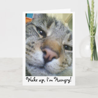 Hungerkatze Funny Greeting/Birthday Card Karte