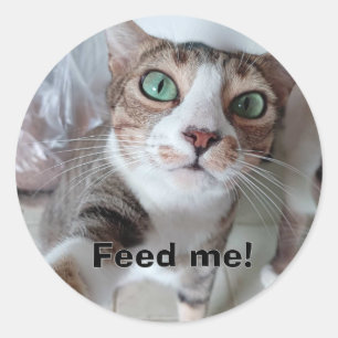 Hungerkatze Runder Aufkleber