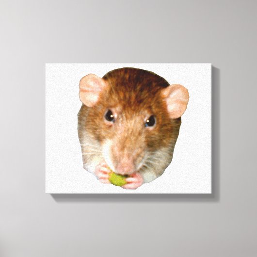 Hungerrat Canvas Print Leinwanddruck (Vorderseite)
