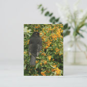 Hungerschwarz Postkarte (Stehend Vorderseite)