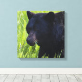 Hungerschwarzer Bär Canvas Print Leinwanddruck (Insitu (Holzboden))