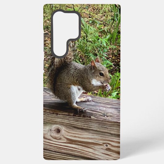 Hungrichte Eichhörnchen Samsung Phone Cases Galaxy Hülle (Rückseite)