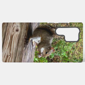 Hungrichte Eichhörnchen Samsung Phone Cases Galaxy Hülle (Rückseite (Horizontal))