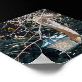 Hungriechhörnchen, das Lebensmittel aus der Vogelz Poster (Ecke)