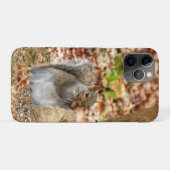 Hungriechrel Case-Mate iPhone Hülle (Rückseite (Horizontal))