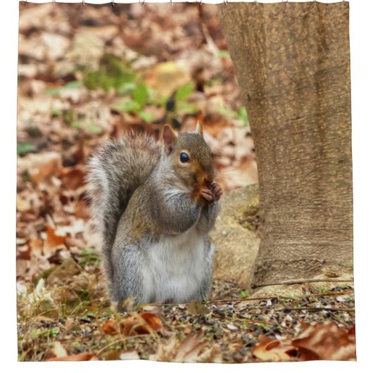 Hungriechrel Duschvorhang (Vorderseite)