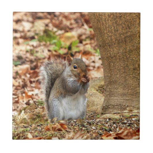 Hungriechrel Fliese (Vorderseite)