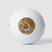 Hungriechrel Golfball (Vorderseite)