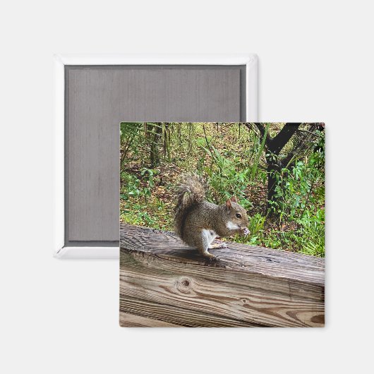 Hungriechrel Magnet (Vorderseite/Rückseite)