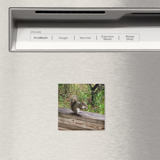 Hungriechrel Magnet (In Situ (Geschirrspüler))