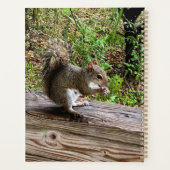 Hungriechrel Planer (Rückseite)