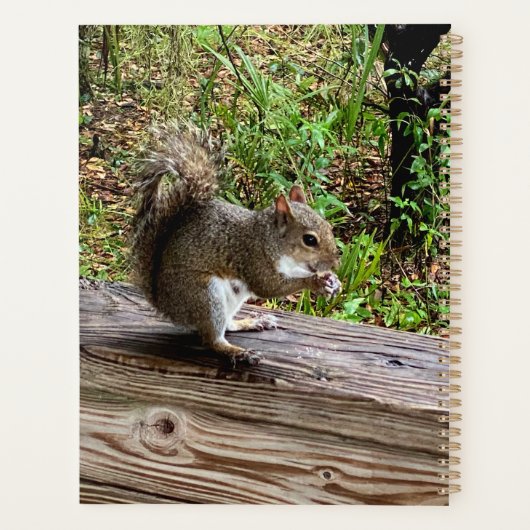 Hungriechrel Planer (Rückseite)