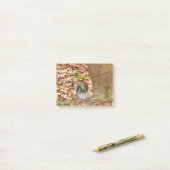 Hungriechrel Post-it Klebezettel (Auf Schreibtisch)