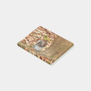 Hungriechrel Post-it Klebezettel