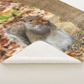 Hungriechrel Sherpadecke (3/4)