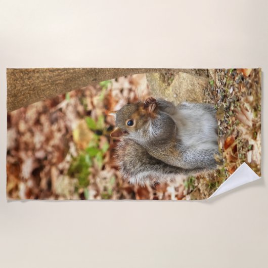 Hungriechrel Strandtuch (Vorderseite)