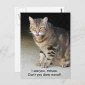 Hungrige Katzen-Postkarte Postkarte (Vorne/Hinten)