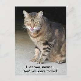 Hungrige Katzen-Postkarte Postkarte