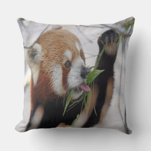 Hungriger Roter Panda Kissen