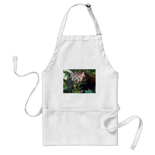 hungriger roter Panda Schürze (Vorne)