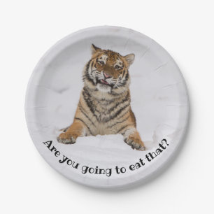 Hungriger Tiger sind Sie gehend, das zu essen? Pappteller