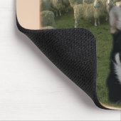 Hungriger Wolf mit Schafen Mousepad (Ecke)