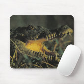 Hungriges Croc Mousepad (Mit Mouse)