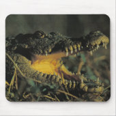 Hungriges Croc Mousepad (Vorne)