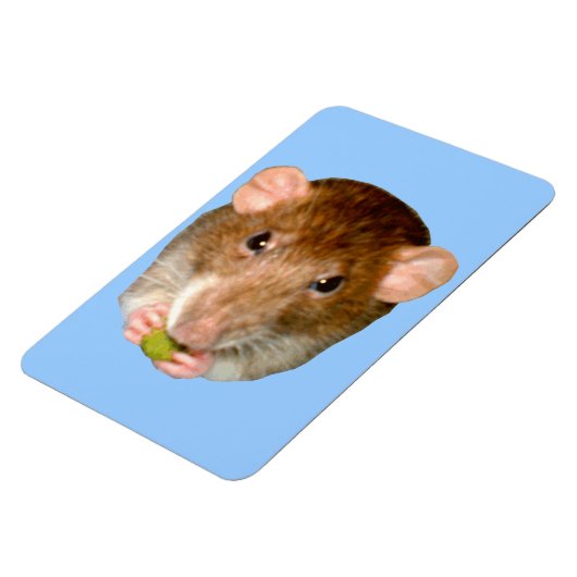 HungriRat Premium Magnet (Linke Seite)