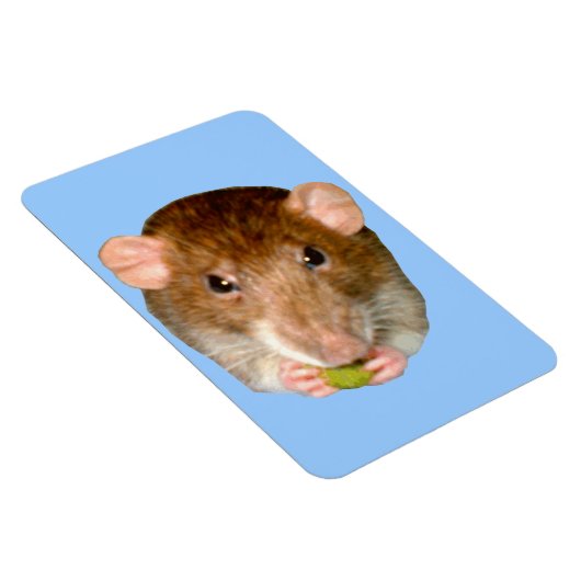 HungriRat Premium Magnet (Rechte Seite)