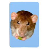 HungriRat Premium Magnet (Vertikal)